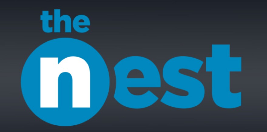 The Nest Network TV