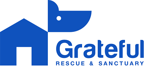 Grateful Rescue TV