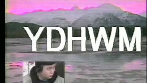 YDHWM TV
