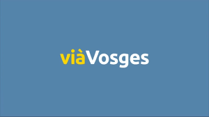 Profilo Vosges Télevision Canale Tv