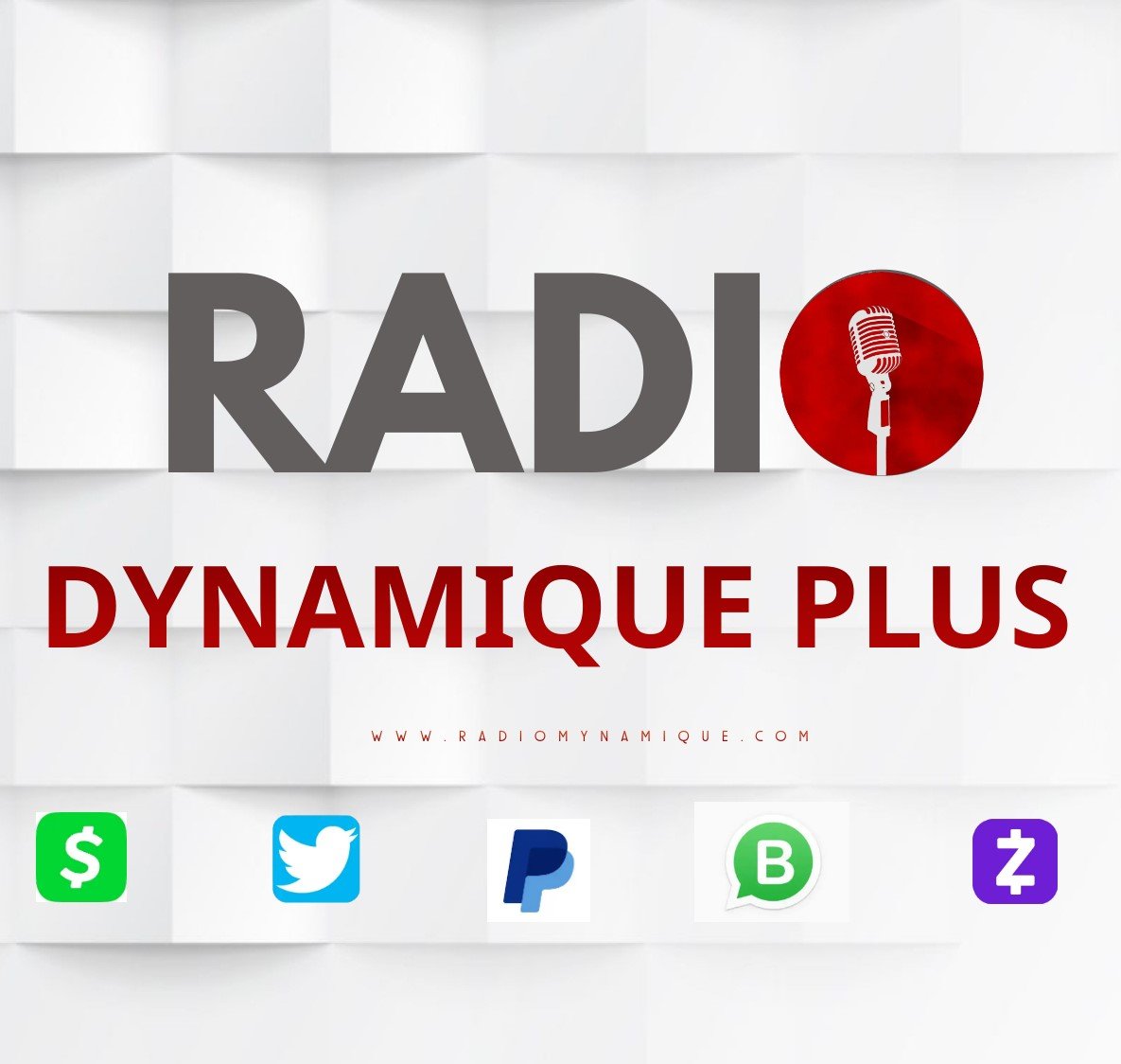 Profil Radio Tele Dynamique Plus Canal Tv