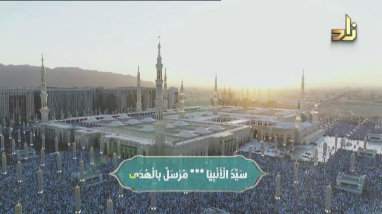 Zad TV