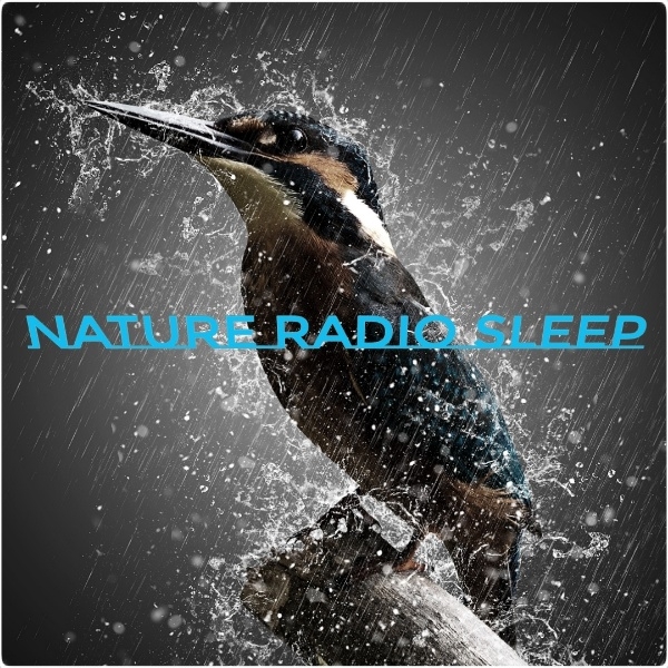 Nature Sleep Radio
