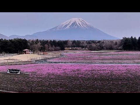 Fuji Motosuko Resort