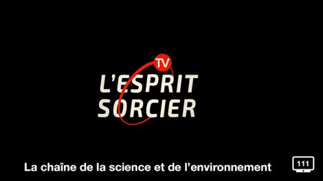 L Esprit Sorcier TV
