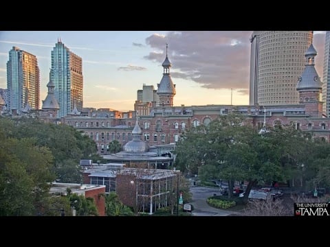 The University of Tampa