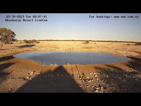 Etosha National Park in Namibi