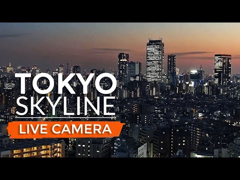  Tokyo Tower 4K Cam