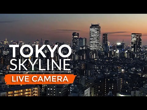  Tokyo Tower 4K Cam
