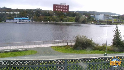 Quidi Vidi Lake Cam