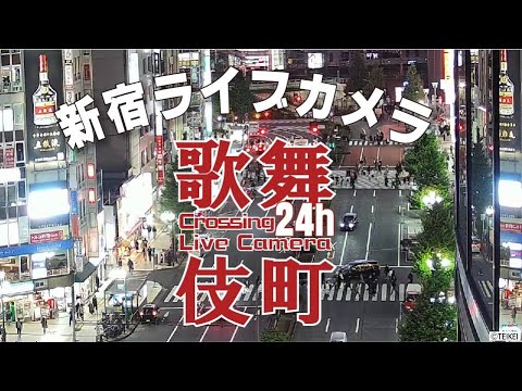 Kabukicho Tokyo HD