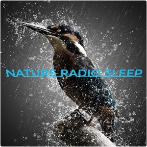 普罗菲洛 Nature Radio Sleep 卡纳勒电视