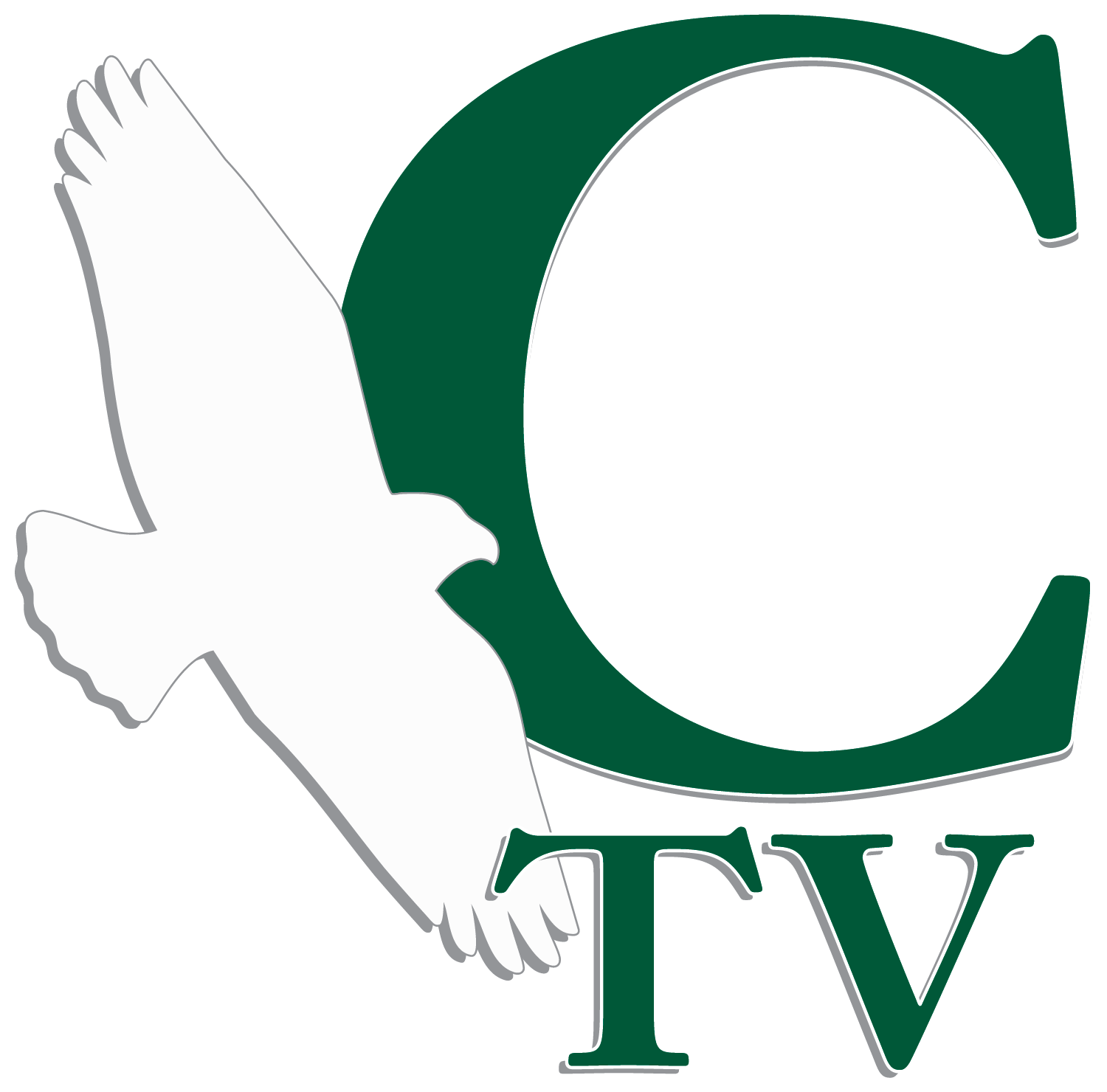 Profilo CTV The Calabasas Canale Tv