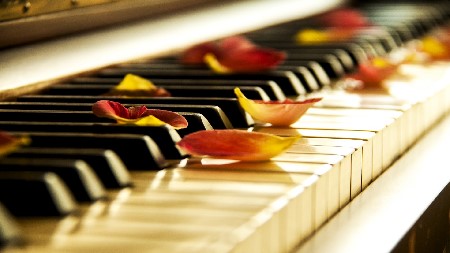 Beautiful Piano Music 24/7