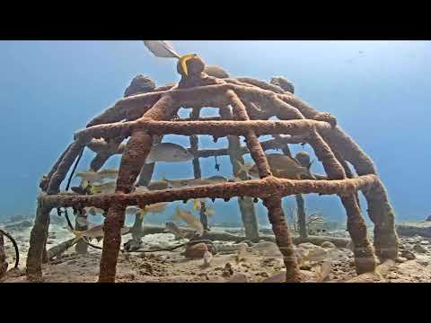 Harbour Village Bonaire Coral 