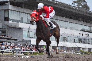 Hipondromo de Las Amricas