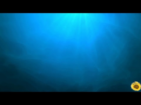 Deep Sea Relax Music