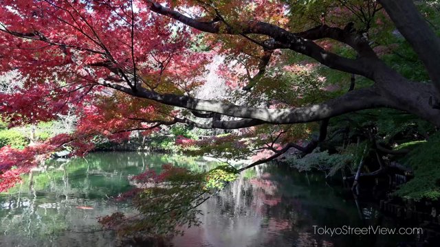 Tokyo Street View