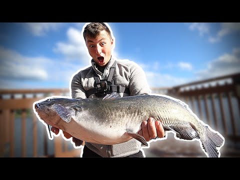 FishingWithNorm TV