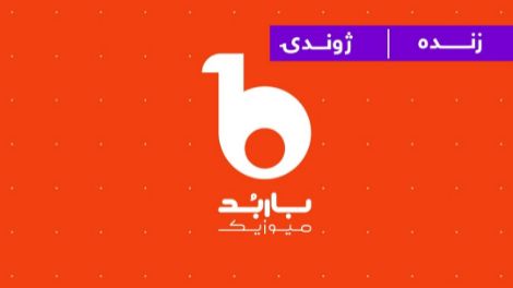 Barbud Tv