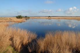 Hoge Veluwe