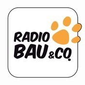Radio�105 Bau 