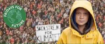 Fridays for Future Live