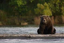 Katmai National Park