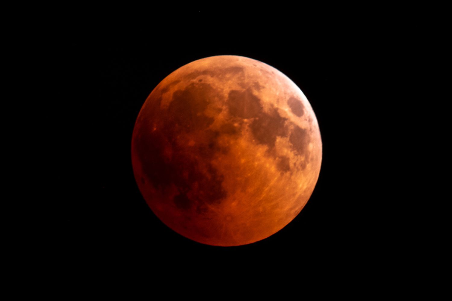 Blood Moon Eclipse Cam
