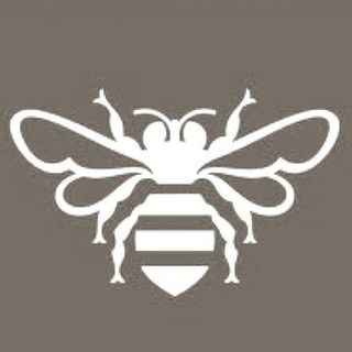 La Abeja TV