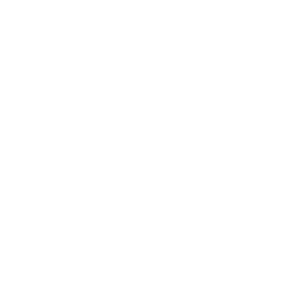 News 12 New York Tv