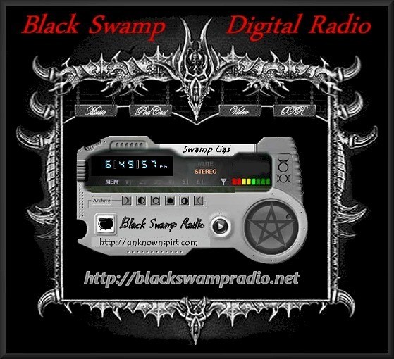 Black Swamp Digital Radio