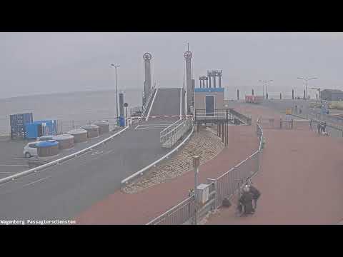 Terminal Nes  Ameland Cam