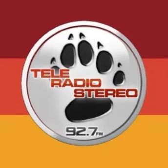 Профиль Teleradiostereo TV Канал Tv