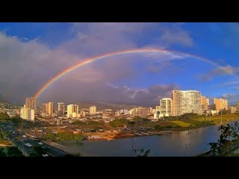 Ala Wai Canal