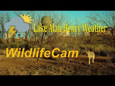 Lake Alan Henry- Texas