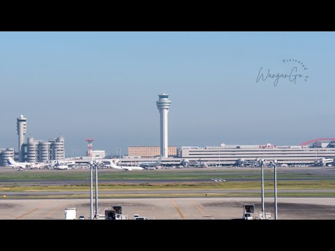 Haneda Airport Disneyland