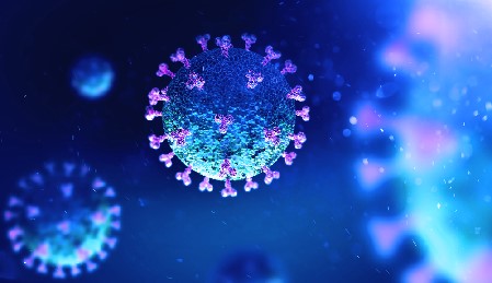 Coronavirus Pandemic World Map