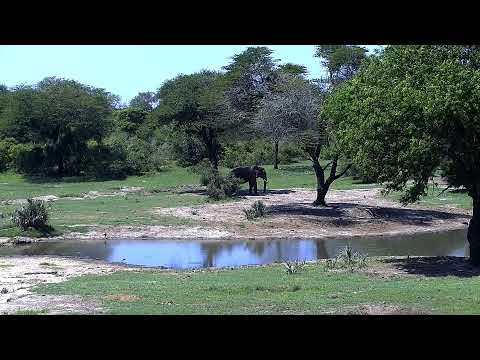 Tembe Elephant Park