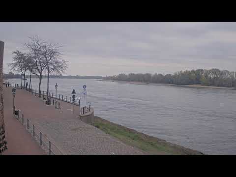 Rees Rhine River