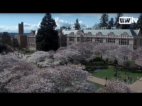 UW Quad