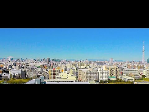 Tokyo Panoramic Cam