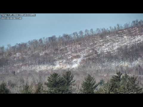 Moose and Loon - Maine