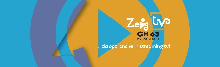 Zelig Tv
