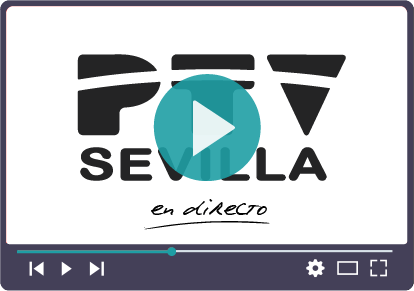 Профиль PTV Sevilla Канал Tv