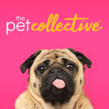 Profile The Pet Collective TV Tv Channels